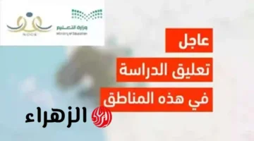إعلان جديد.. تعليق الدراسة يوم الثلاثاء في المدارس السعودية بسبب الولايات